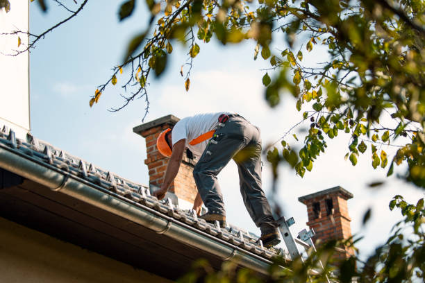 Best Metal Roofing Contractor  in Cleveland, OH